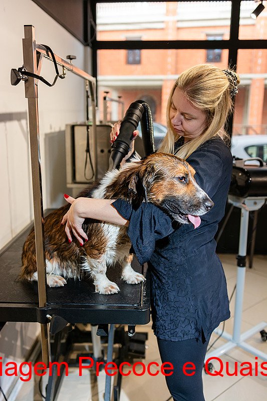 Câncer de Ovário: Quais os Desafios para a Triagem Precoce e Quais as Recomendações do Ministério da Saúde?  

Uma análise sobre as dificuldades enfrentadas e as diretrizes vigentes.